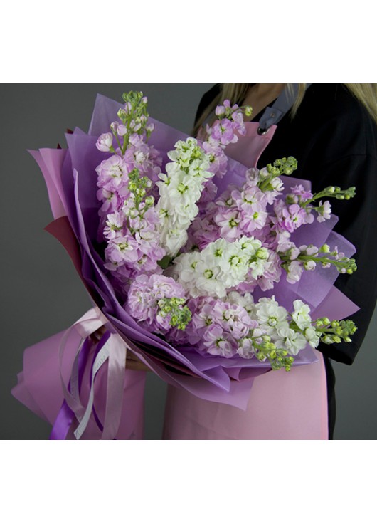 101 Маттиола Микс Делюкс